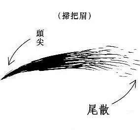 男人掃帚眉|面相解析何為掃帚眉